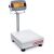 Bilancia da banco i-D33P60B1R1-M